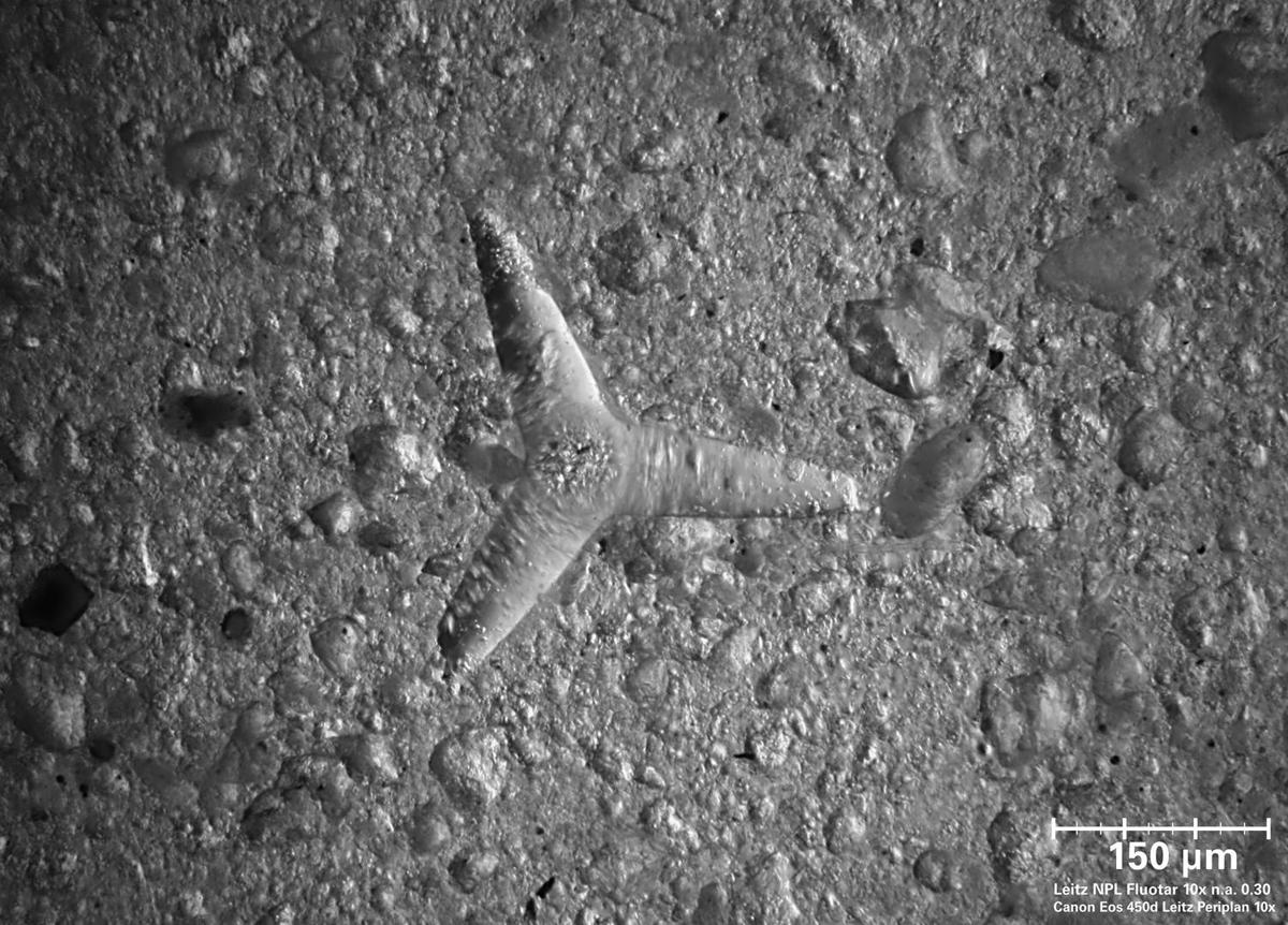 Argilla della spiaggia di Xi - Cefalonia