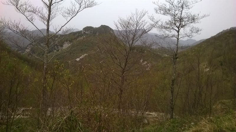 le Viole dei Monti Picentini