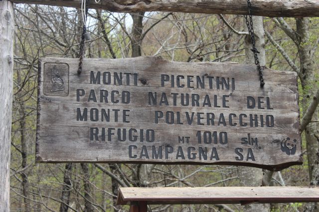 le Viole dei Monti Picentini