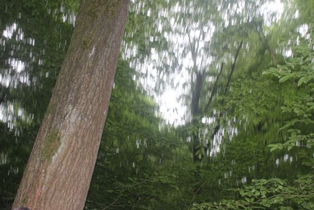 un salto nelle brughiere lombarde