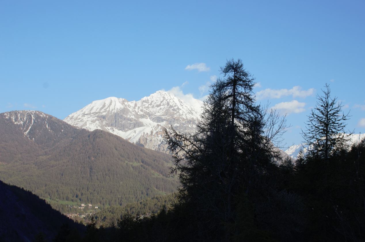 nuova entit nord occidentale