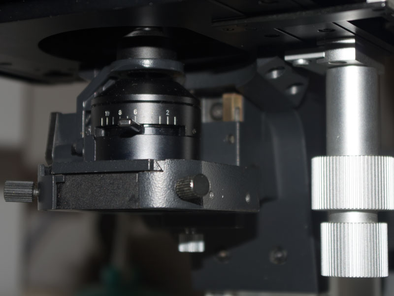 Babbo Natale mi ha portato un microscopio!!