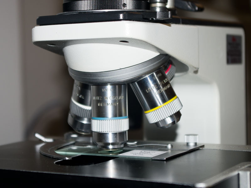 Babbo Natale mi ha portato un microscopio!!