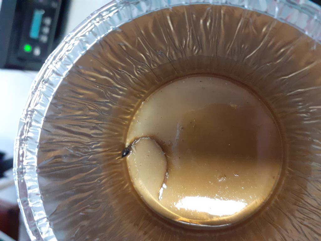Riconoscimento