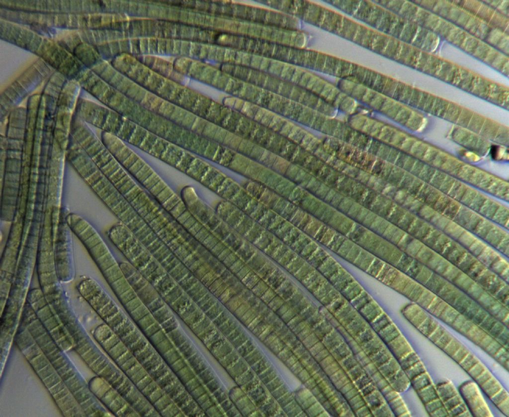 Piccolo discorso senza meta.