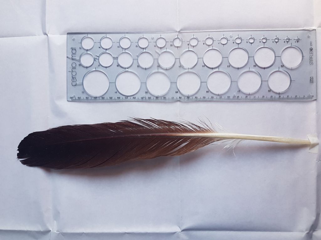 Identificazione penne