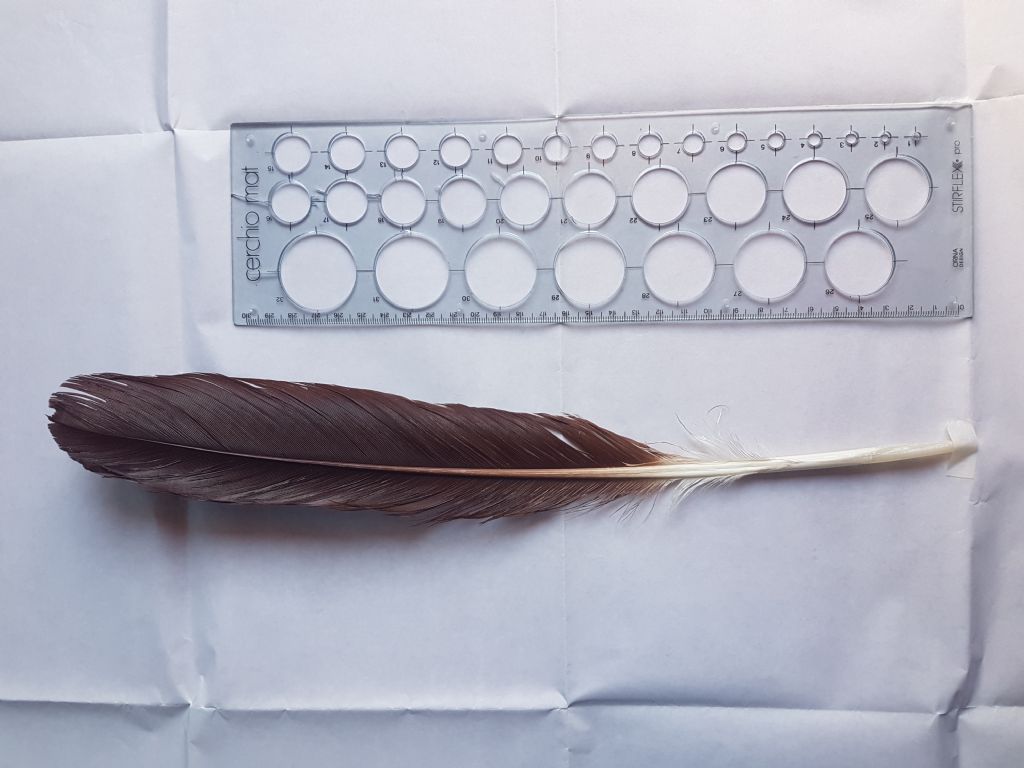 Identificazione penne