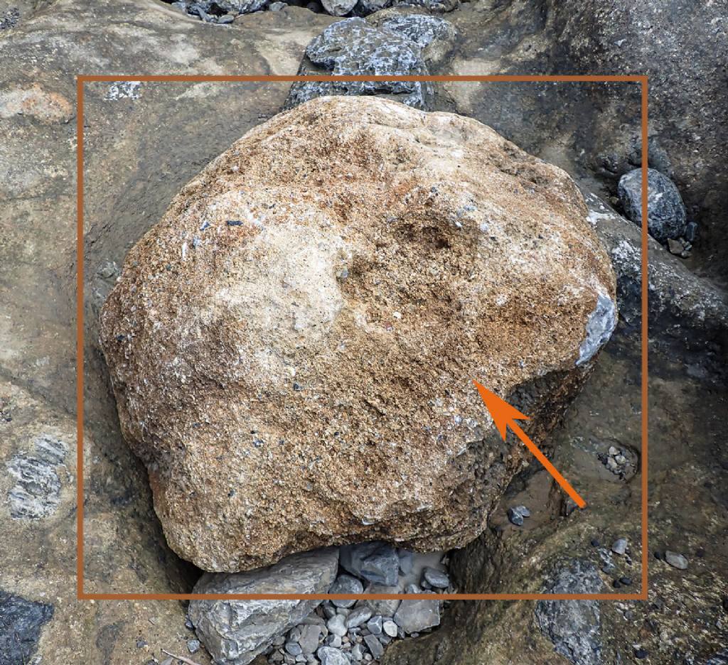 Masso ricoperto da strato di frammenti di conchiglie