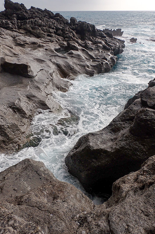 pozze di marea e di scogliera