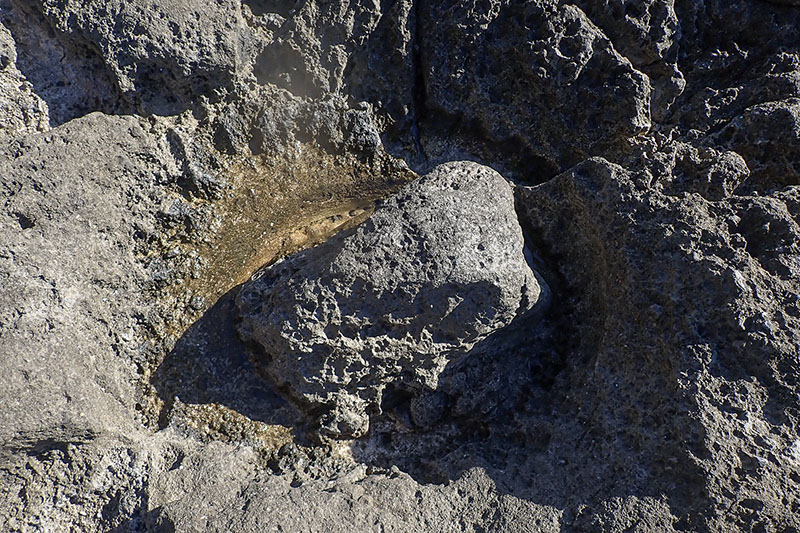 pozze di marea e di scogliera