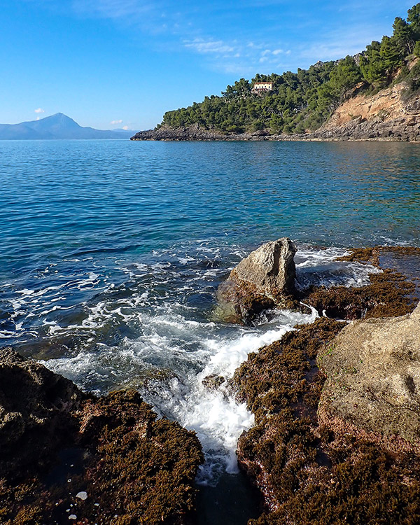 pozze di marea e di scogliera