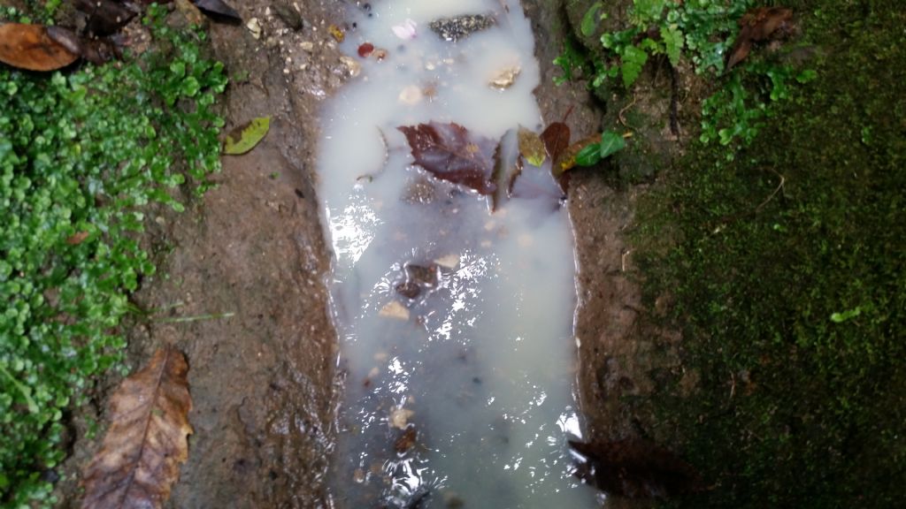 Acqua bianca