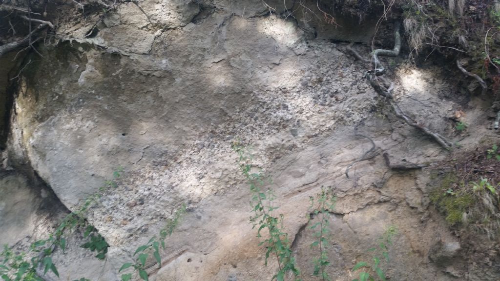 Formazione di questo strato - probabile deposito di tephra