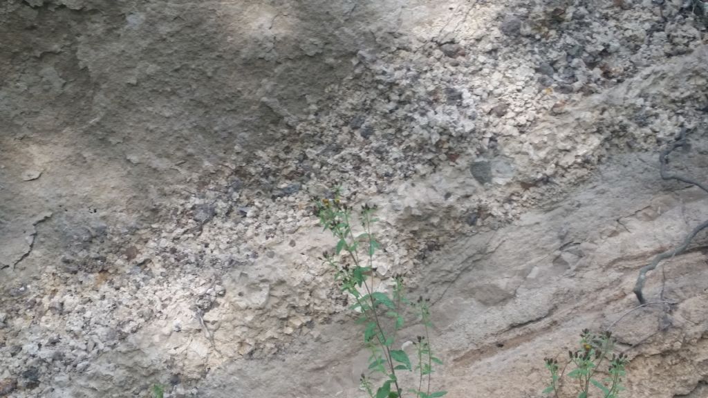 Formazione di questo strato - probabile deposito di tephra