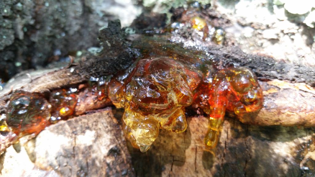 datazione di ciliegia tastiere