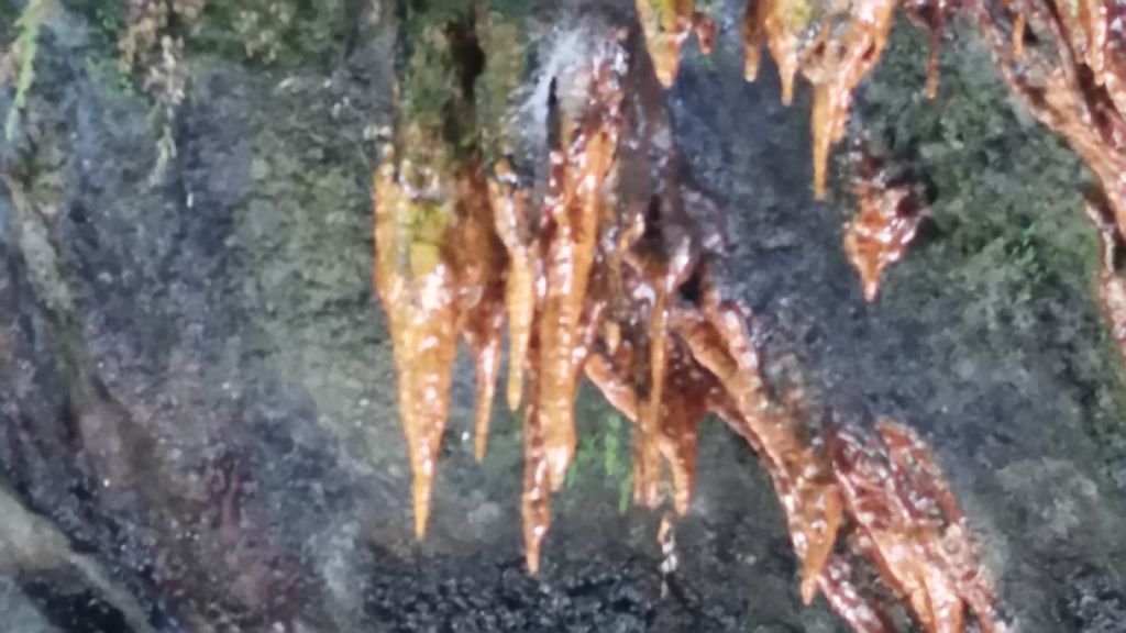 Stalattiti rosse (acque ferruginose)