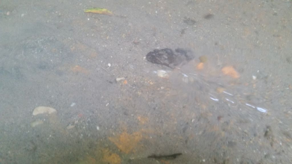 Bolle sul fondo del torrente