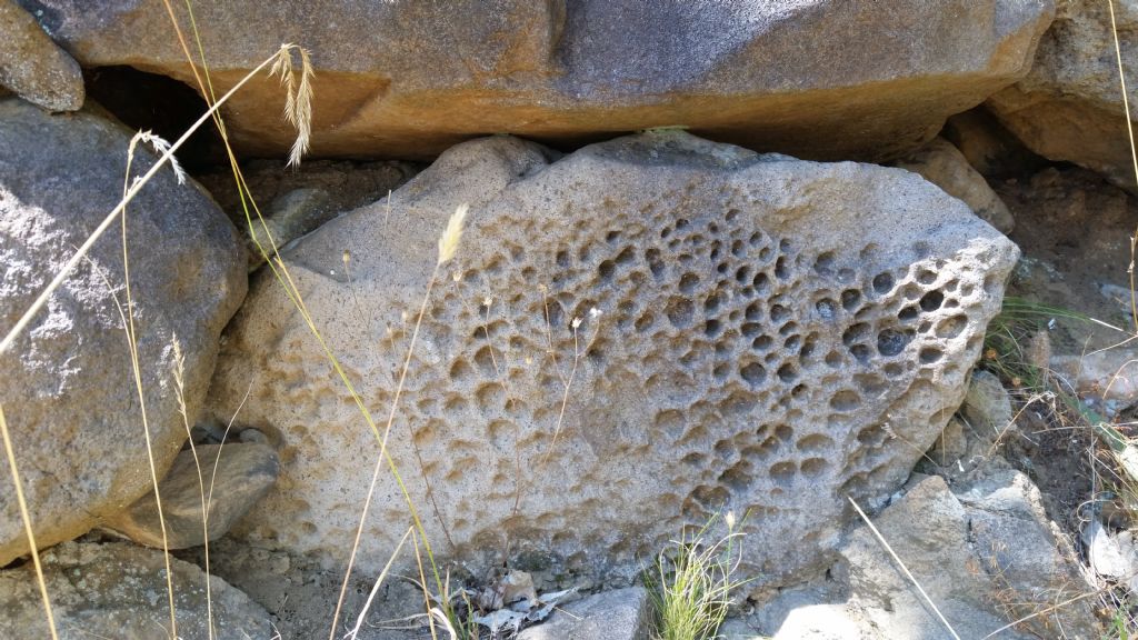 E'' erosione? S�, erosione alveolare (alveolar weathering)