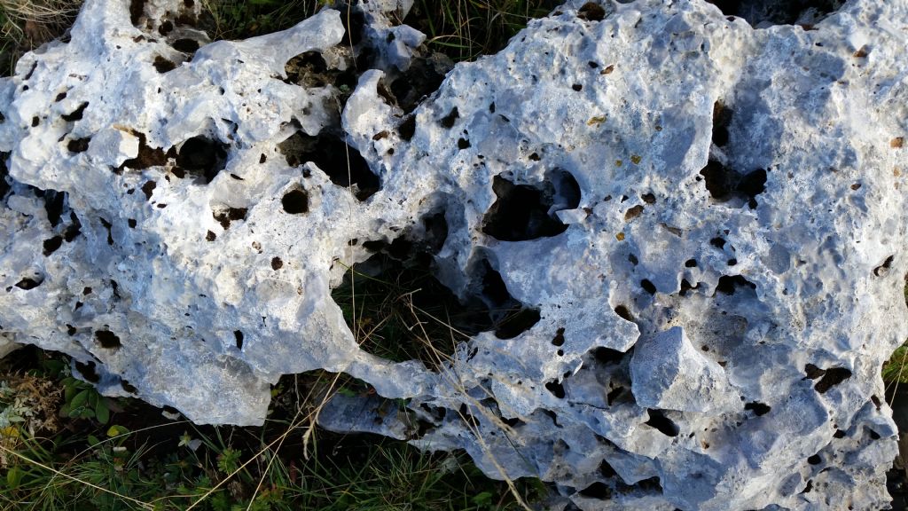 Rocce con microcarsismo?