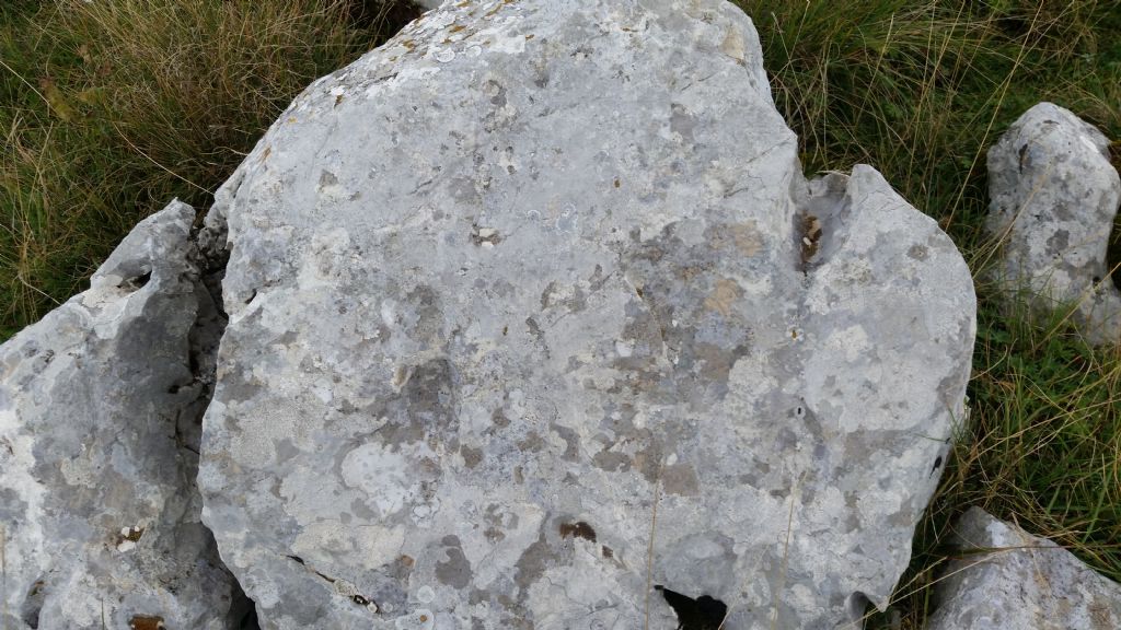 Scanalature su rocce