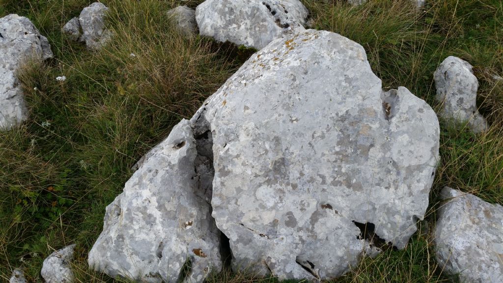 Scanalature su rocce