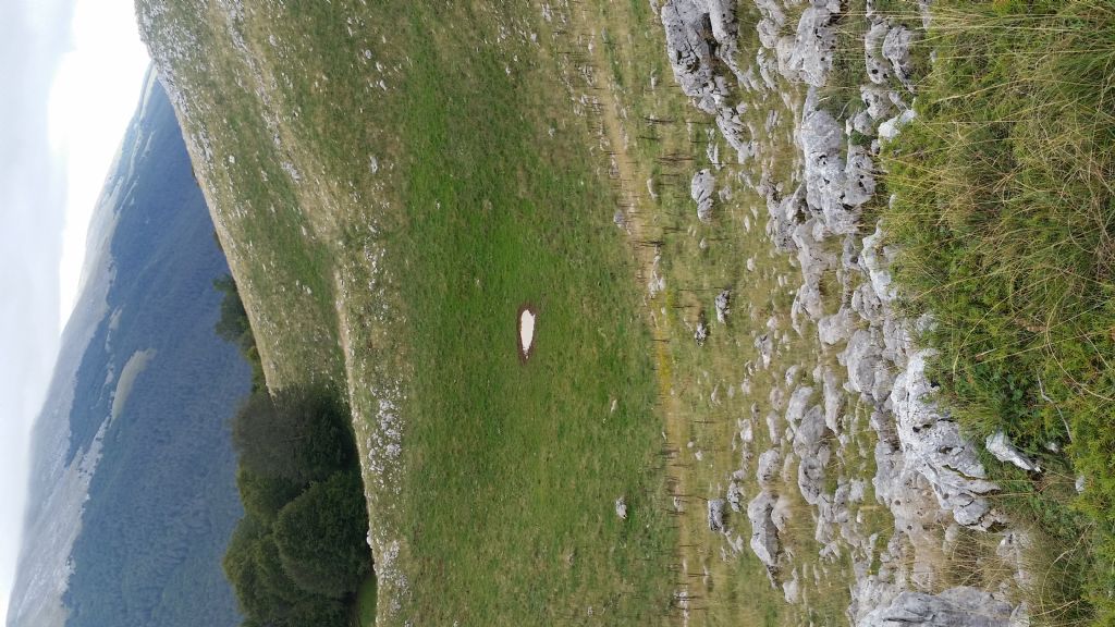 Doline