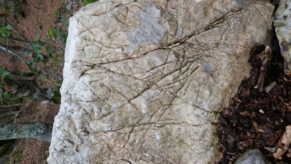 Striature su rocce - forme carsiche minori di superficie