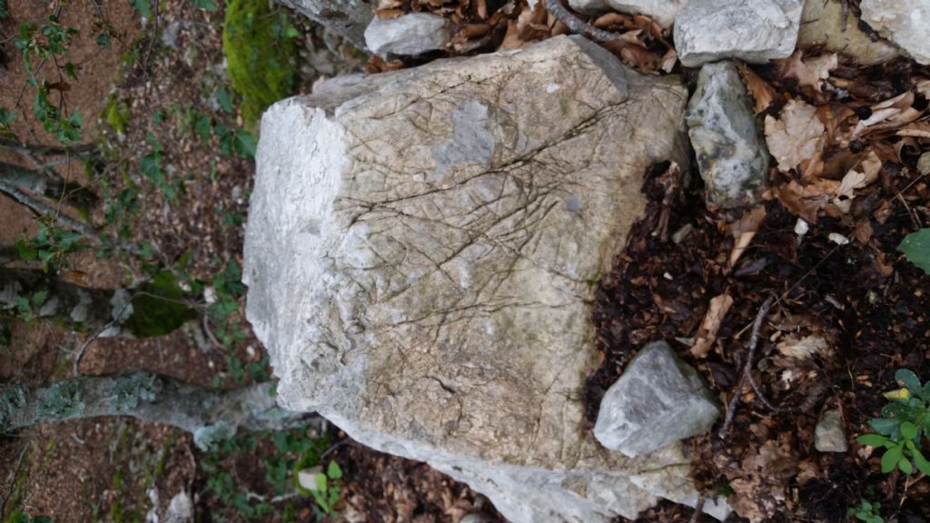 Striature su rocce - forme carsiche minori di superficie