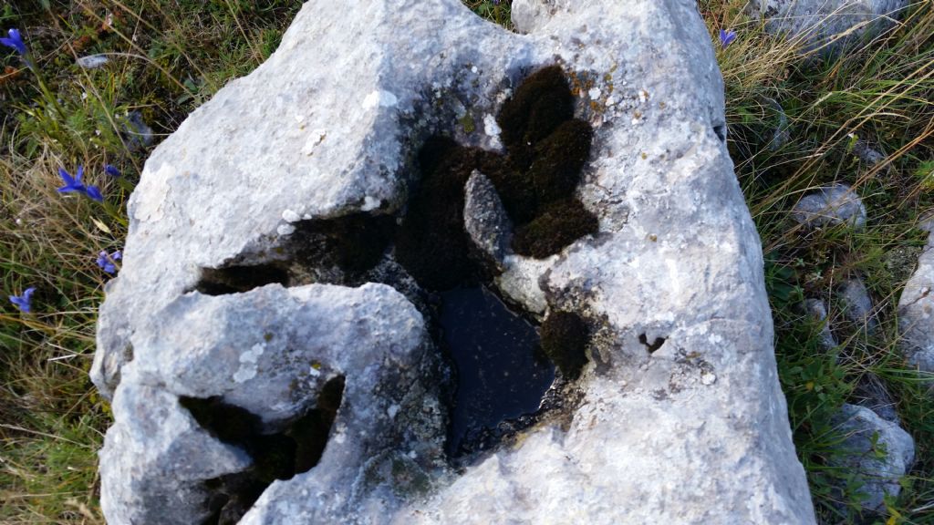 Buchi su roccia