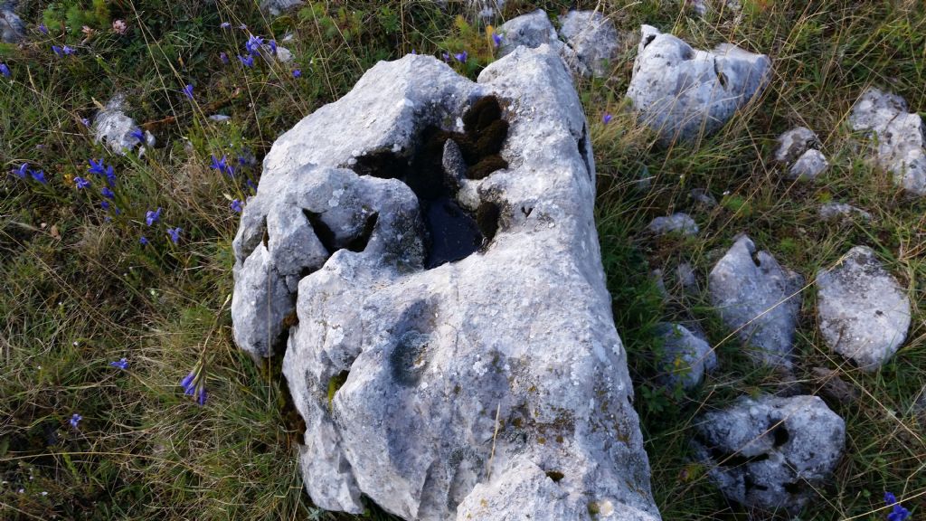 Buchi su roccia