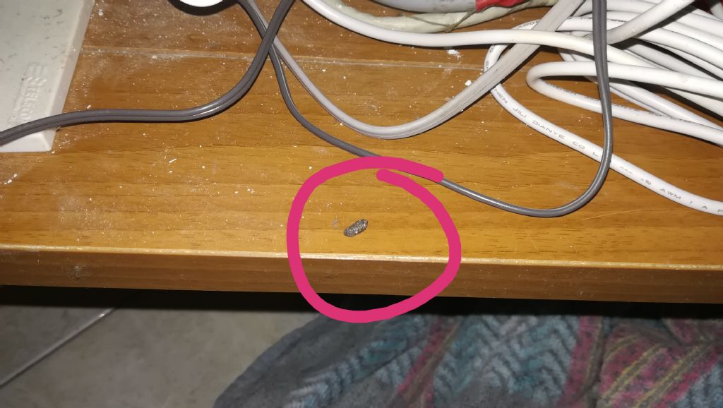 Ho trovato escrementi di topo (forse) in un mobile