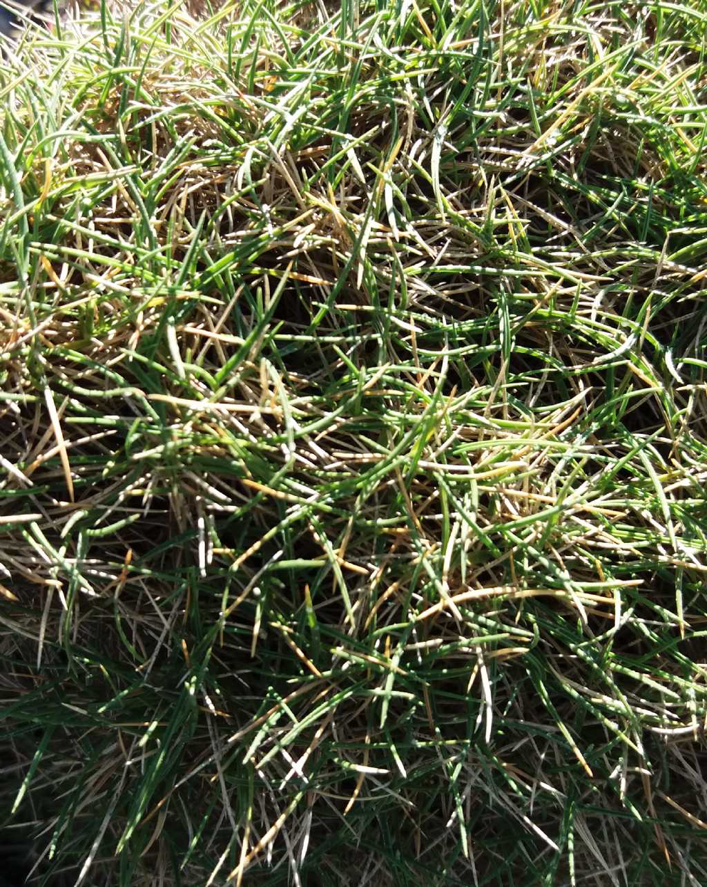 Da determinare costa nord Sardegna