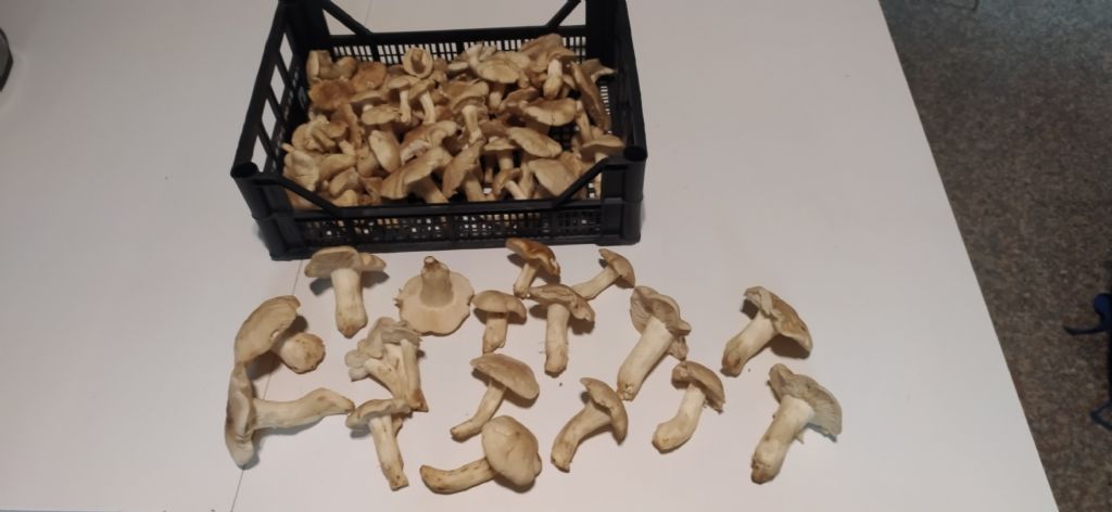 Ritrovamento del 23 maggio