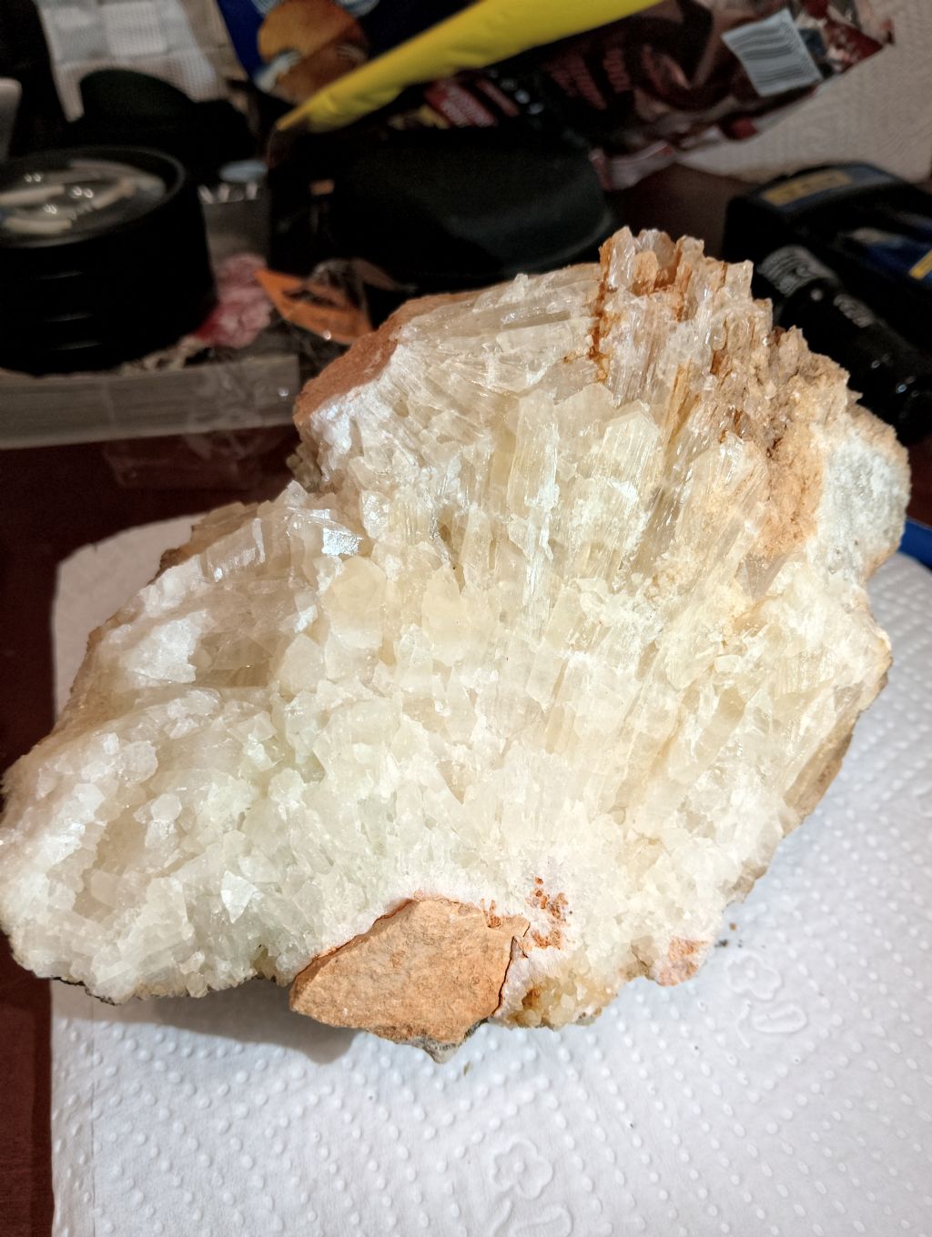 Calcite o Aragonite?