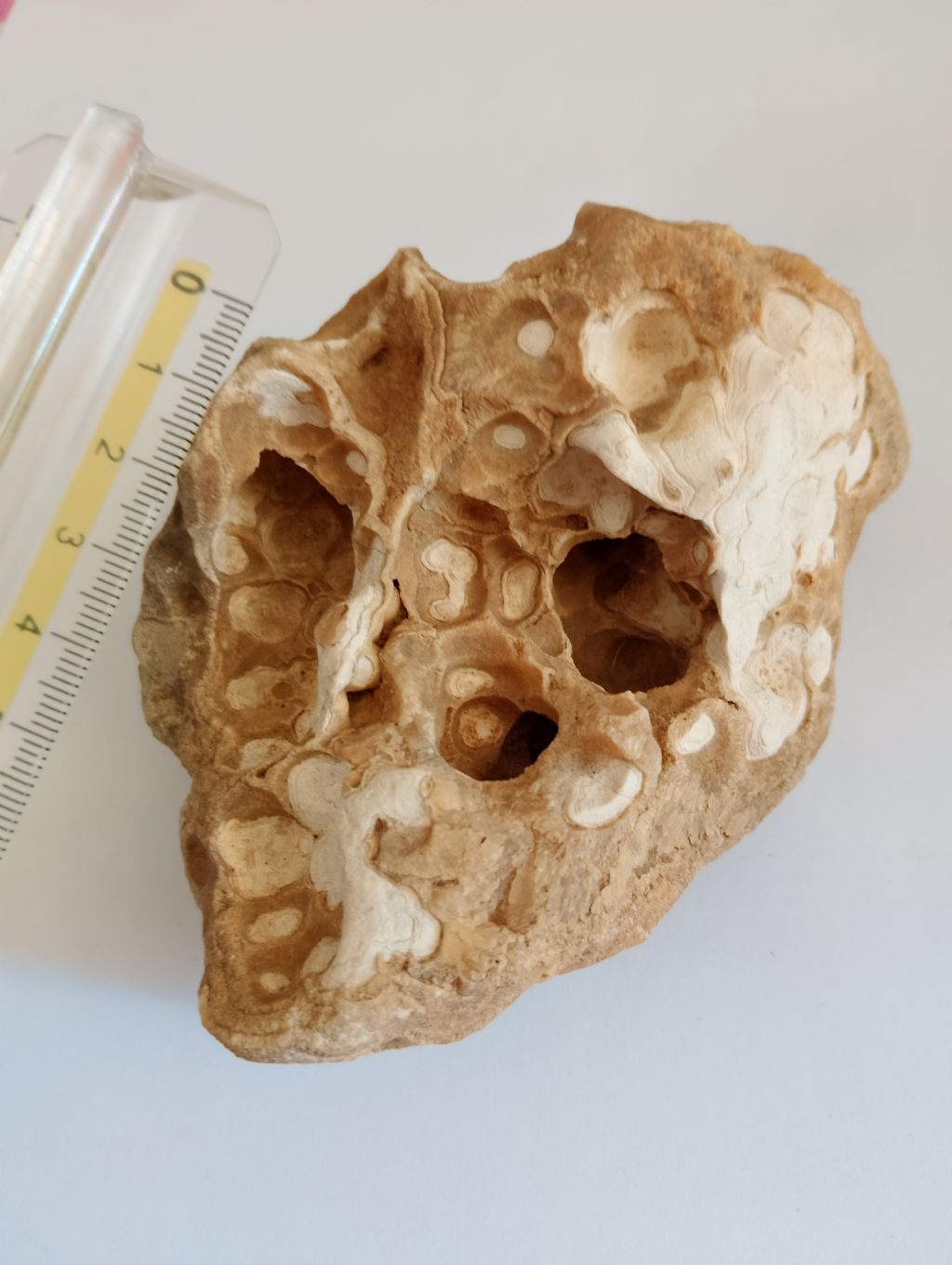Roccia calcarea dalla strana forma