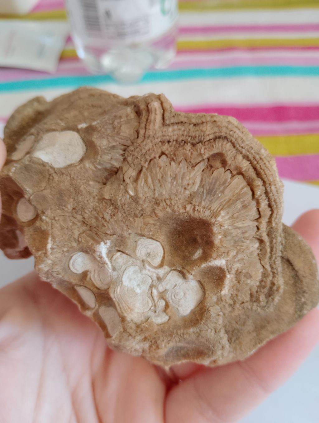 Roccia calcarea dalla strana forma