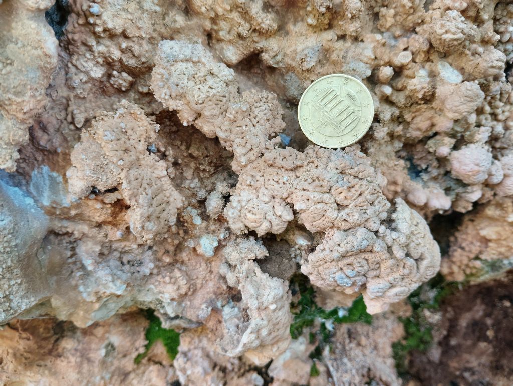 Roccia calcarea dalla strana forma