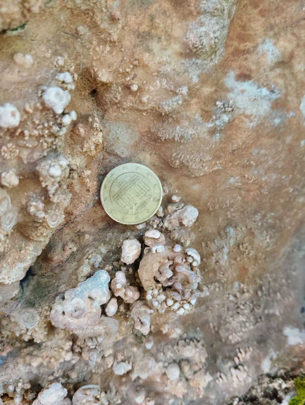 Roccia calcarea dalla strana forma