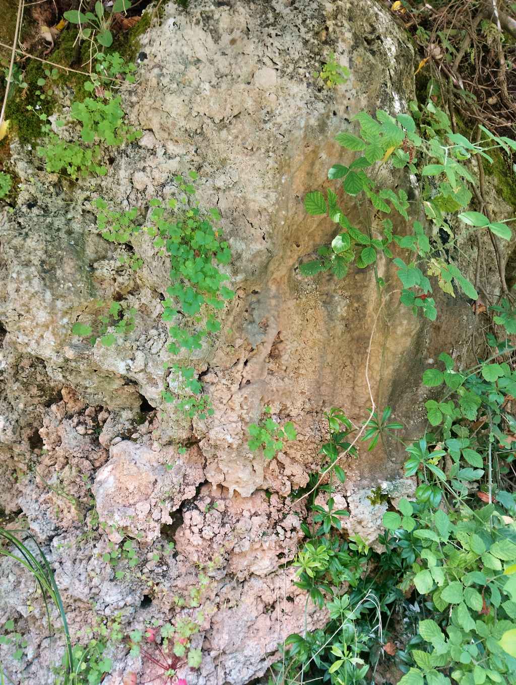 Roccia calcarea dalla strana forma