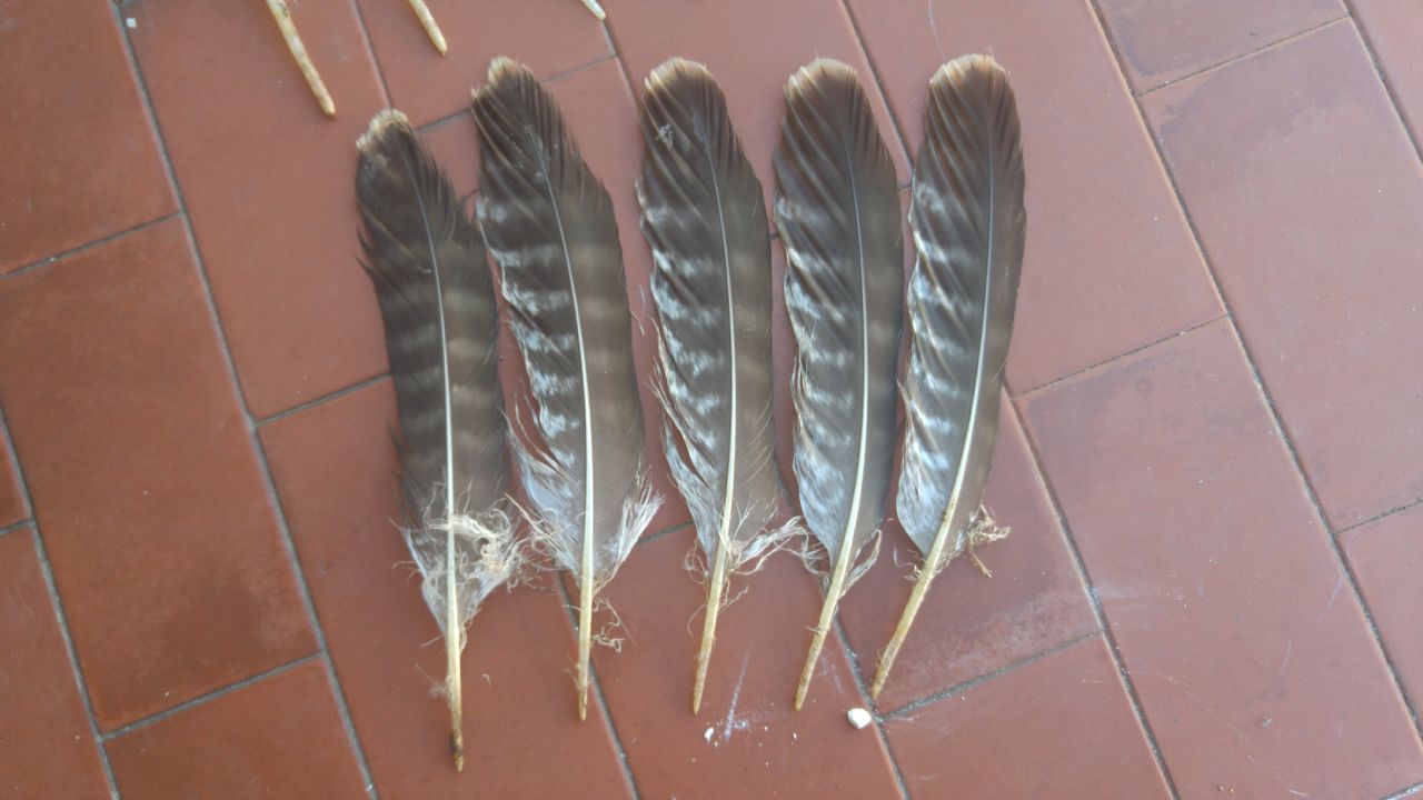 ID rapace trovato annegato