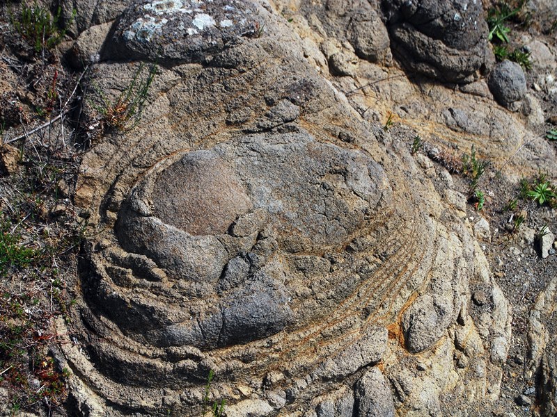 Identificazione roccia ovoidale