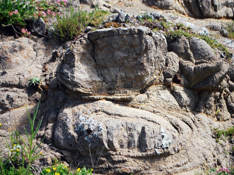 Identificazione roccia ovoidale