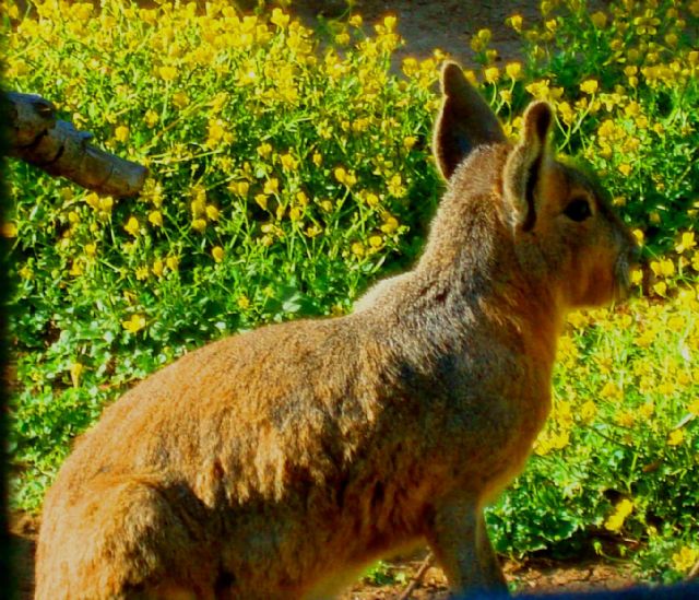 Momenti di tenerezza!