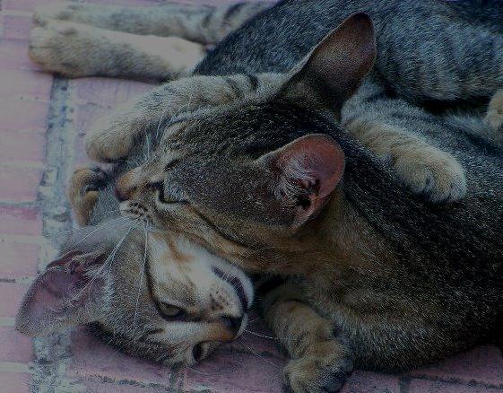 Momenti di tenerezza!