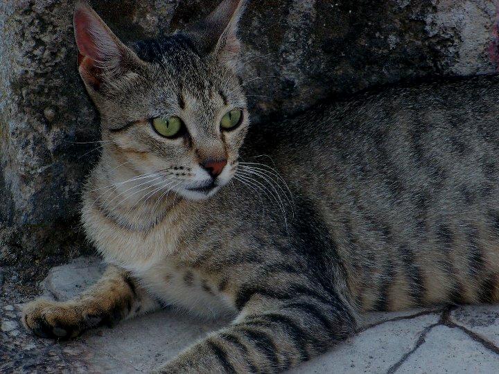 Momenti di tenerezza!