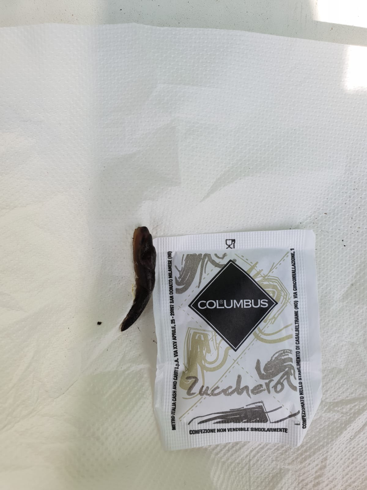 Traccia presso casa pinetale