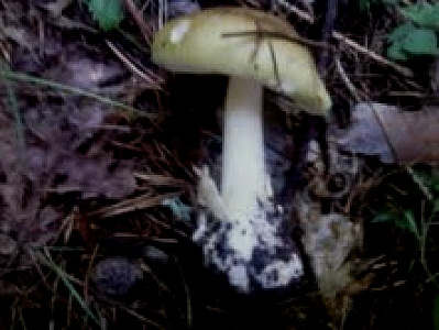 Piu'' forti di Lucifero,la mega caldissima alta pressione