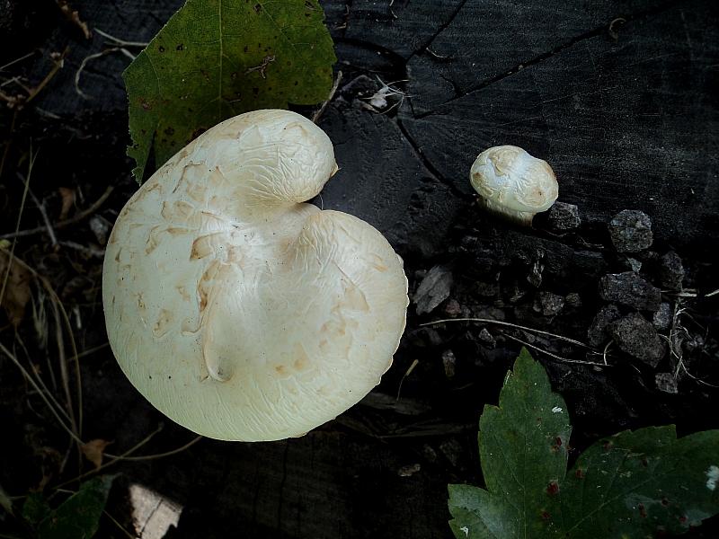 Piu'' forti di Lucifero,la mega caldissima alta pressione