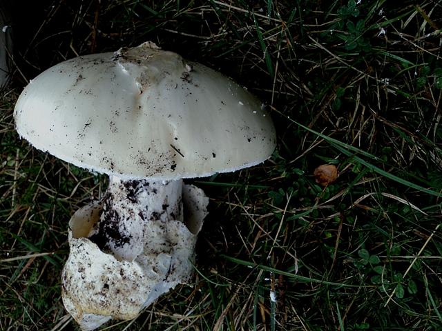 Ottobre trentino...bellezze montane