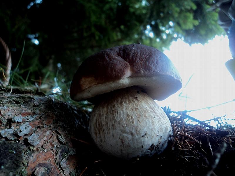 Ottobre trentino...bellezze montane